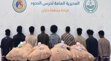 ضبط 9 مهربين بحوزتهم 320 كيلوغراماً من القات المخدر في حملة أمنية جديدة