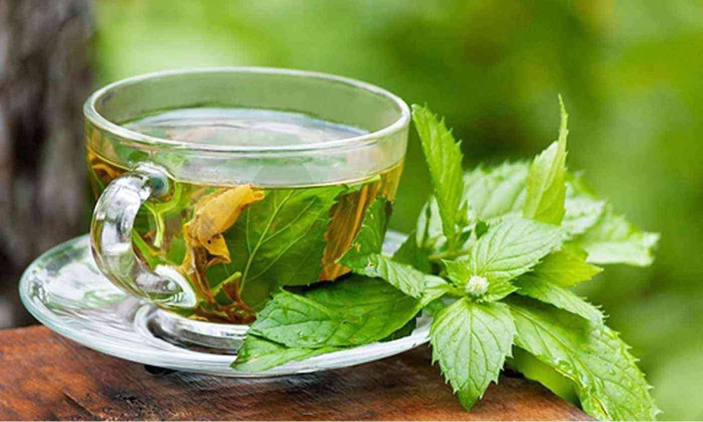 سرّ الأخضر: اكتشاف جديد يكشف أسرار وفوائد اللون الأخضر الصحية