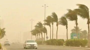 رياح نشطة تضرب تبوك اليوم.. الأرصاد تحذر من تقلبات جوية مفاجئة
