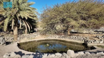 عين شلال في العلا: مصدر مياه دائم يروي المزارع ويحافظ على التراث منذ قرون