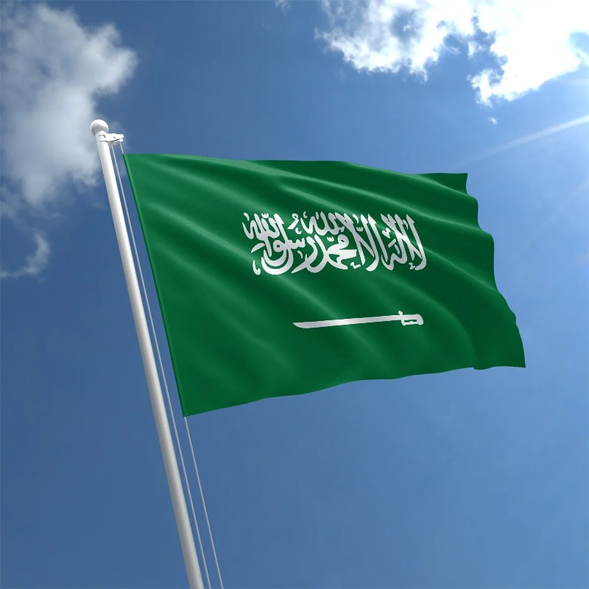 العدالة في السعودية: تنفيذ الأحكام الشرعية بحزم لحماية الأمن والاستقرار